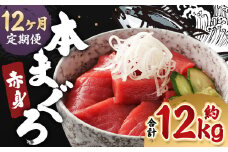 【12ヶ月定期便】長崎県産 本マグロ 赤身 1kg 8人前～10人前 鮪 魚 刺身 【大村湾漁業協同組合】