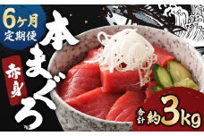 【6ヶ月定期便】長崎県産 本マグロ 赤身 500g 鮪 魚 刺身 【大村湾漁業協同組合】