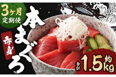 【3ヶ月定期便】長崎県産 本マグロ 赤身 500g 鮪 魚 刺身 【大村湾漁業協同組合】