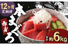 【12ヶ月定期便】長崎県産 本マグロ 赤身 500g 鮪 魚 刺身 【大村湾漁業協同組合】