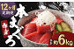 【12ヶ月定期便】長崎県産 本マグロ赤身 500g 