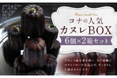 コナの人気 カヌレ BOX (6個入り)×2箱 プレーン チョコ ピスタチオ