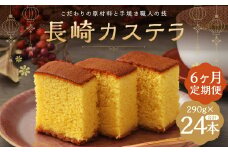 【6ヶ月定期便】 長崎カステラ糖庵 0.5号 4本