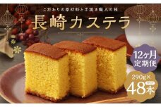 【12ヶ月定期便】 長崎カステラ糖庵 0.5号 4本