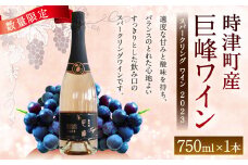 時津町産 巨峰スパークリングワイン 2023 750ml