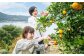 町内観光周遊 レンタサイクル利用券