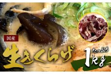 国産 生きくらげ 1kg（ご家庭用）【2025年5月下旬～6月下旬発送】
