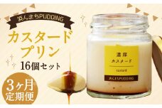 【3回定期便】 浜んまちPUDDING カスタードプリン 16個 セット プリン スイーツ お菓子 おやつ