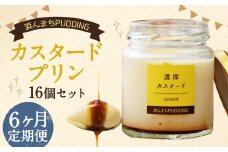 【6回定期便】 浜んまちPUDDING カスタードプリン 16個 セット プリン スイーツ お菓子 おやつ