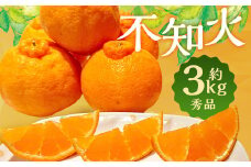 春の柑橘 不知火 約3kg 秀品 【2025年2月下旬発送～3月下旬迄発送予定】