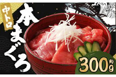 長崎県産 本マグロ「中トロ」約300g【大村湾漁業協同組合】