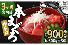 【3ヶ月定期便】 長崎県産 本マグロ「中トロ」約300g【大村湾漁業協同組合】