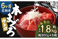【6ヶ月定期便】 長崎県産 本マグロ「中トロ」約300g【大村湾漁業協同組合】