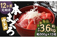 【12ヶ月定期便】 長崎県産 本マグロ「中トロ」約300g【大村湾漁業協同組合】