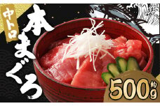 長崎県産 本マグロ「中トロ」約500g【大村湾漁業協同組合】