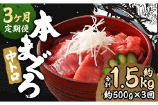 【3ヶ月定期便】 長崎県産 本マグロ「中トロ」約500g【大村湾漁業協同組合】