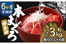 【6ヶ月定期便】 長崎県産 本マグロ「中トロ」約500g【大村湾漁業協同組合】
