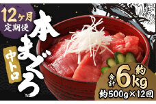 【12ヶ月定期便】 長崎県産 本マグロ「中トロ」約500g【大村湾漁業協同組合】