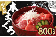 長崎県産 本マグロ「中トロ」約800g【大村湾漁業協同組合】