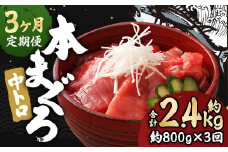 【3ヶ月定期便】 長崎県産 本マグロ「中トロ」約800g【大村湾漁業協同組合】