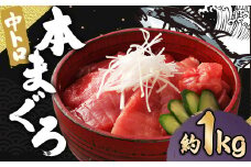長崎県産 本マグロ「中トロ」約1kg【大村湾漁業協同組合】