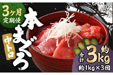 【3ヶ月定期便】 長崎県産 本マグロ「中トロ」約1kg【大村湾漁業協同組合】