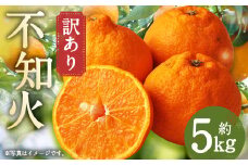 訳あり ご家庭用 長崎県時津町産 不知火 約5kg【2025年3月下旬～5月上旬迄発送予定】 柑橘 フルーツ 果物