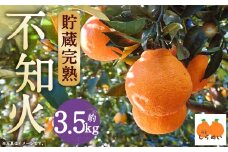 【数量限定】貯蔵 完熟不知火 約3.5kg【2025年3月上旬～4月上旬迄発送予定】  不知火 フルーツ 果物 蜜柑 柑橘 国産 長崎県産 九州産 デコポンと同一品種