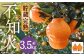 【数量限定】貯蔵 完熟不知火約3.5kg