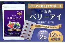 【12ヶ月定期便】平坂のベリーアイ 20粒入り 2個セット ベリー ビルベリー ボイセンベリー ルテイン ビタミンA 目 栄養 サプリ 定期 長崎県 時津町