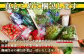 野菜のプロ40年が届ける 厳選野菜セット！ 野菜・フルーツ 15～16品目 詰め合わせ