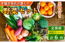 【定期便 偶数月コース】野菜のプロ40年が届ける 厳選野菜セット！ 野菜・フルーツ 15～16品目 詰め合わせ