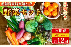 【定期便 12回コース】野菜のプロ40年が届ける 厳選野菜セット！ 野菜・フルーツ 15～16品目 詰め合わせ