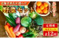 【定期便 12回】野菜のプロ40年が届ける 厳選野菜セット！ 野菜・フルーツ 15～16品目 詰め合わせ