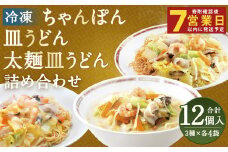 冷凍ちゃんぽん・冷凍皿うどん・冷凍太麺皿うどん 詰合せ（各4袋 計12袋） ちゃんぽん 皿うどん 太麺皿うどん お取り寄せ グルメ セット