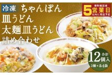 冷凍ちゃんぽん・冷凍皿うどん・冷凍太麺皿うどん 詰合せ（各4袋 計12袋） ちゃんぽん 皿うどん 太麺皿うどん お取り寄せ グルメ セット