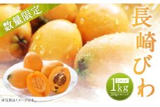 長崎びわ 250g×4パック（計1kg） Lサイズ 【2025年5月下旬～6月上旬迄発送予定】