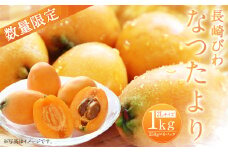 長崎びわ なつたより 250g×4パック（計1kg） 2Lサイズ 【2025年5月下旬～6月上旬迄発送予定】