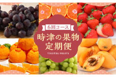 【定期便 6回コース】時津の果物定期便 みかんとぶどうの町から贈る 特産品の定期便  定期便 6回 果物 くだもの フルーツ シャインマスカット 巨峰 みかん 不知火