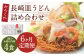 【6ヶ月定期便】 みろくや 長崎 皿うどん (揚麺) 4食分 詰合せ