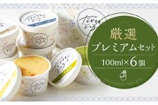 厳選プレミアムセット 100ml×6個 ／ ジェラート詰め合わせ （ミルク・ピスタチオ・ダークチョコ・そのぎ抹茶”極濃”・季節限定） 大衆割烹樋口 ｢ながさきジェラート｣ アイス ひぐち 長崎