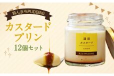 【2025年9月発送】浜んまちPUDDING カスタードプリン 12個 セット プリン スイーツ お菓子 おやつ