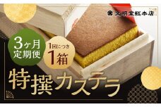 【3ヶ月定期便】特撰カステラ 1号 ／ 1号（580g） 和三盆糖・カステラ専用卵使用 長崎 文明堂