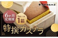 【6ヶ月定期便】特撰カステラ 1号 ／ 1号（580g） 和三盆糖・カステラ専用卵使用 長崎 文明堂