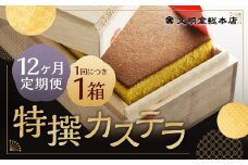 【12ヶ月定期便】特撰カステラ 1号 ／ 1号（580g） 和三盆糖・カステラ専用卵使用 長崎 文明堂