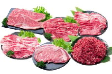 【年6回定期便】 長崎和牛 トライアルコース ／ 6回定期便 和牛 牛肉 お肉 肉 赤身 サーロイン もも カルビ バラ ロース 牛ミンチ ミンチ リブロース ステーキ 焼き肉 焼肉 すき焼き しゃぶしゃぶ 定期便 長崎県 時津町 冷凍