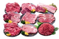 【12回定期便】 長崎和牛 プレミアムコース ／ 12回定期便 和牛 牛肉 お肉 肉 サーロイン もも カルビ バラ ロース リブロース すね 牛ミンチ ミンチ ヒレ トモサンカク シキンボ ステーキ 焼き肉 焼肉 すき焼き 煮込み 煮込 しゃぶしゃぶ セット 食べ比べ 定期便 長崎県 時津町 冷凍