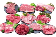 【12回定期便】 長崎和牛 スタンダードコース ／ 12回定期便 和牛 牛肉 お肉 肉 ヒレ もも カルビ バラ サーロイン 牛ミンチ ミンチ ロース リブロース すね トモサンカク シキンボ ステーキ 焼き肉 焼肉 すき焼き しゃぶしゃぶ 煮込み 煮込 ブロック セット 食べ比べ 定期便 長崎県 時津町 冷凍