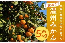 【訳あり】  太陽と潮風を浴びて育った 長崎県時津町産 温州みかん 約5kg【2025年11月上旬~2025年12月下旬に順次発送予定】