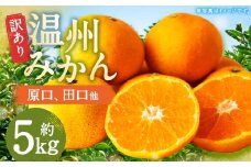 【訳あり】 長崎県時津町産 温州みかん （原口、田口他） 約5kg （2L～3Lサイズ） 【年内発送：2025年11月下旬～12月下旬迄発送予定】 5キロ 蜜柑 みかん 柑橘 果物 果実 フルーツ 国産 九州 長崎県 時津町 常温